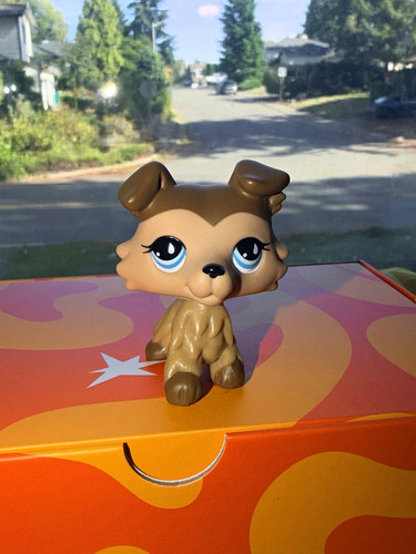Littlest pet shop shorthair - shop,